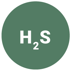 Hydrogen Sulfide